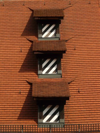kolor dachówki, dach, okna